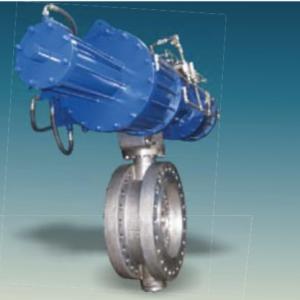 Butterfly Valve